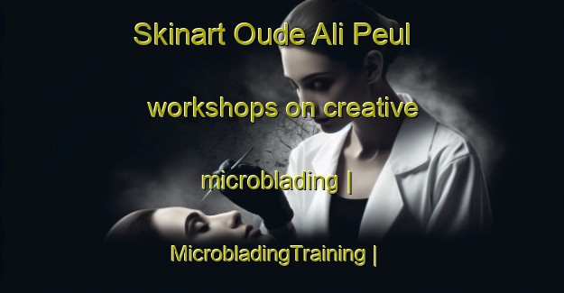 Skinart Oude Ali Peul workshops on creative microblading | MicrobladingTraining | MicrobladingClasses | SkinartTraining-Niger